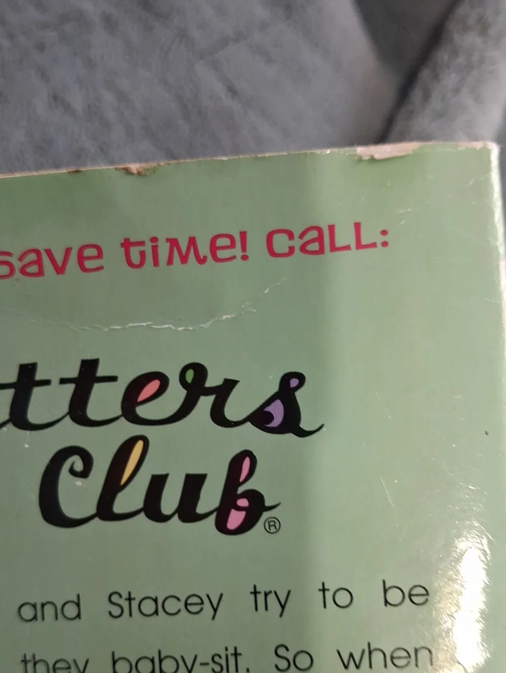 Ann M. Martin The Baby-Sitters Club Book Set - Pink & Mint Covers